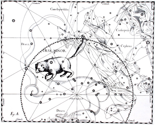 Карта Гевелия - Малая Медведица
